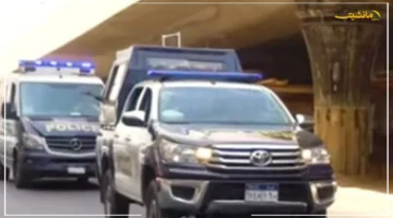 بعد تداول الفيديو بساعات.. ضبط متهمين بسرقة فتاة في الشارع مفاجأة في اعترافات الجناة 1